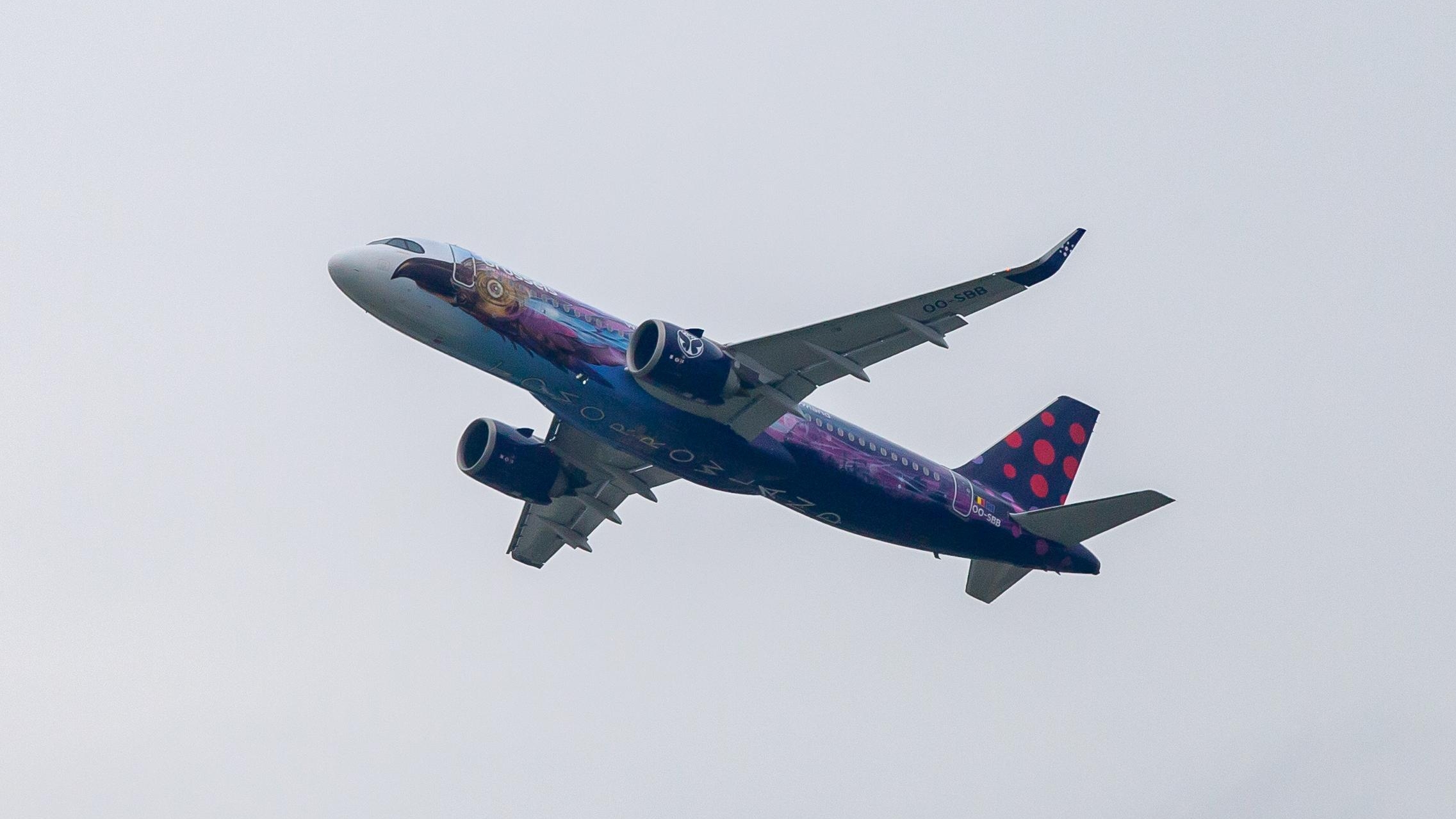 Brussels Airlines airplane in purple Tomorrowland livery flying