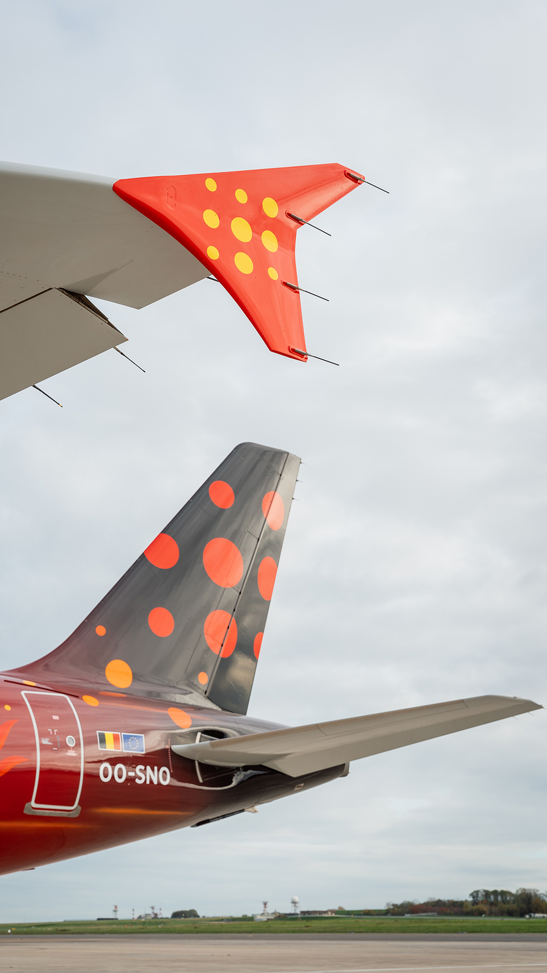 Dark airplane tail fin with large red dots.