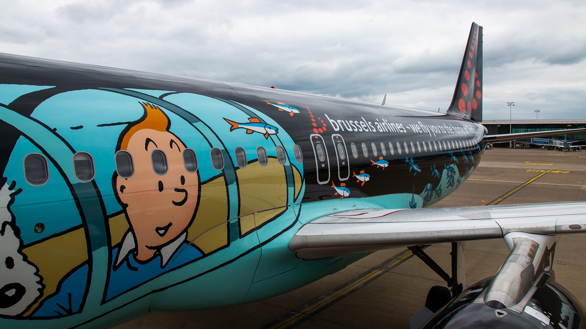 Side view of the Brussels Airlines aircraft fuselage showing Tintin looking out from a painted blue submarine design.