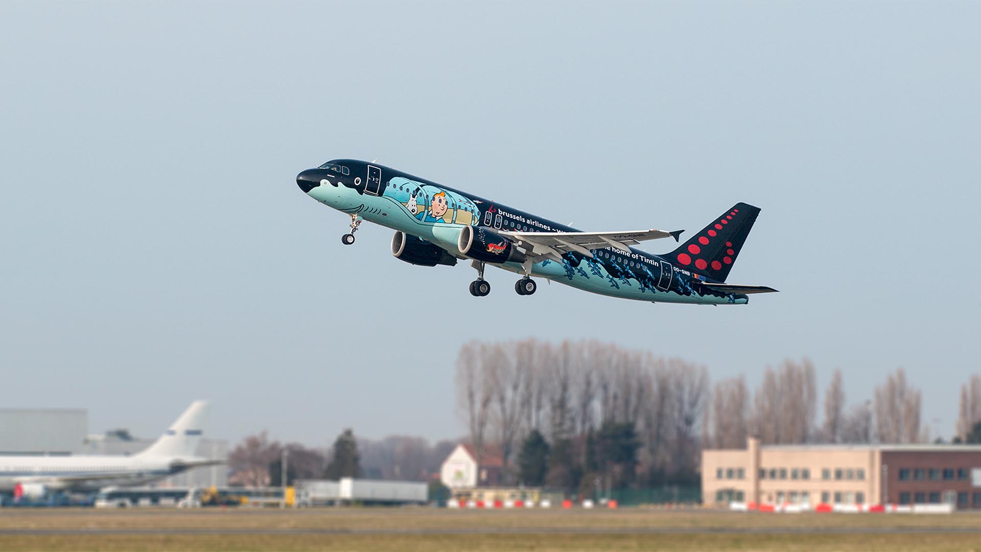 Brussels Airlines aircraft taking off, featuring the black and blue Tintin shark submarine livery.