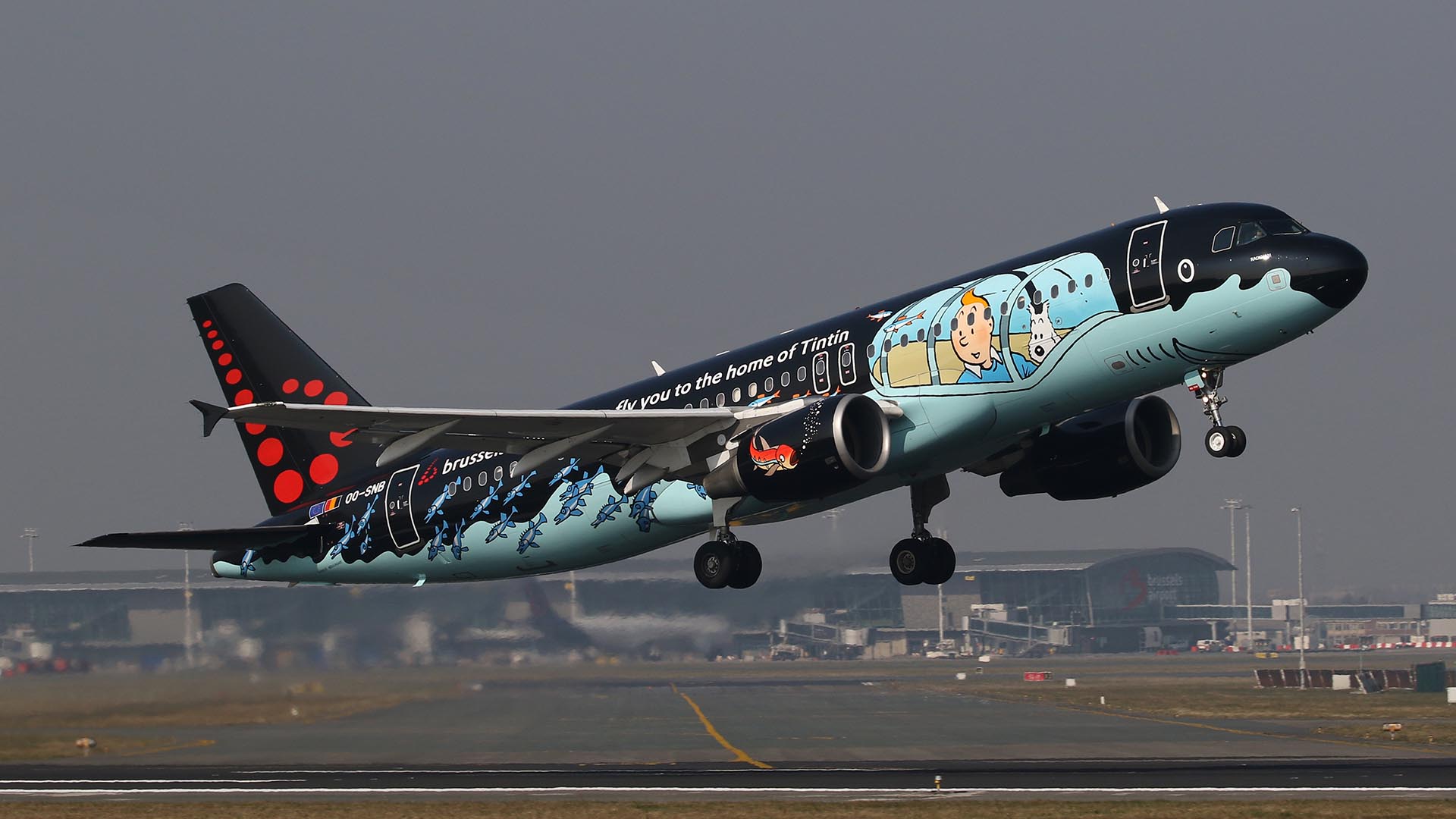 Brussels Airlines Airbus A320 taking off, painted in a black Tintin shark submarine livery featuring Tintin and Snowy.
